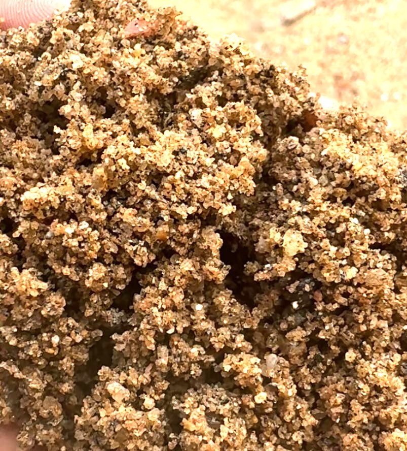 Syhlet-Sand-Fazilpur Syhlet Sand - Image 1
